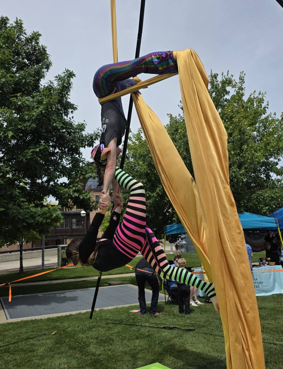 Two aerial artists performing together on gold silks outdoors in Indianapolis