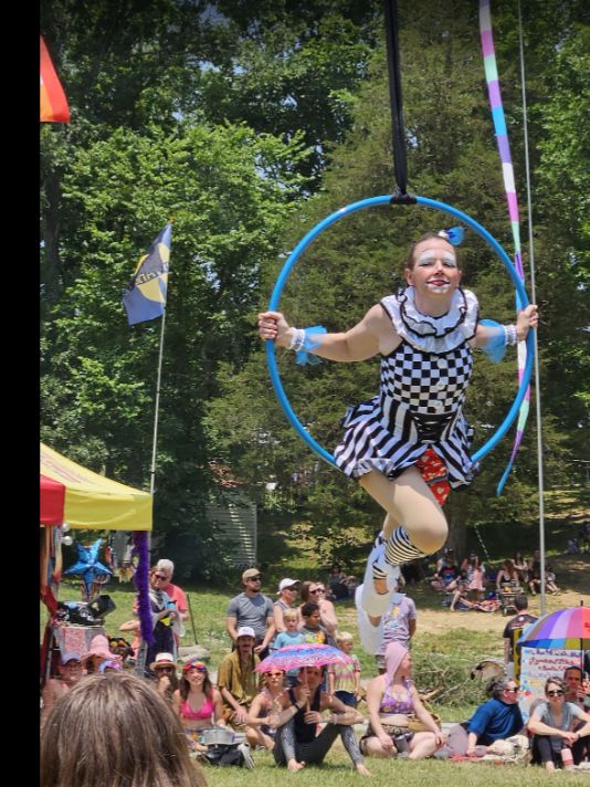 A circus artist performing in an aerial hoop for an outdoor audience